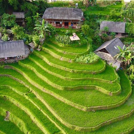 My'S Homestay Sapa Kültér fotó
