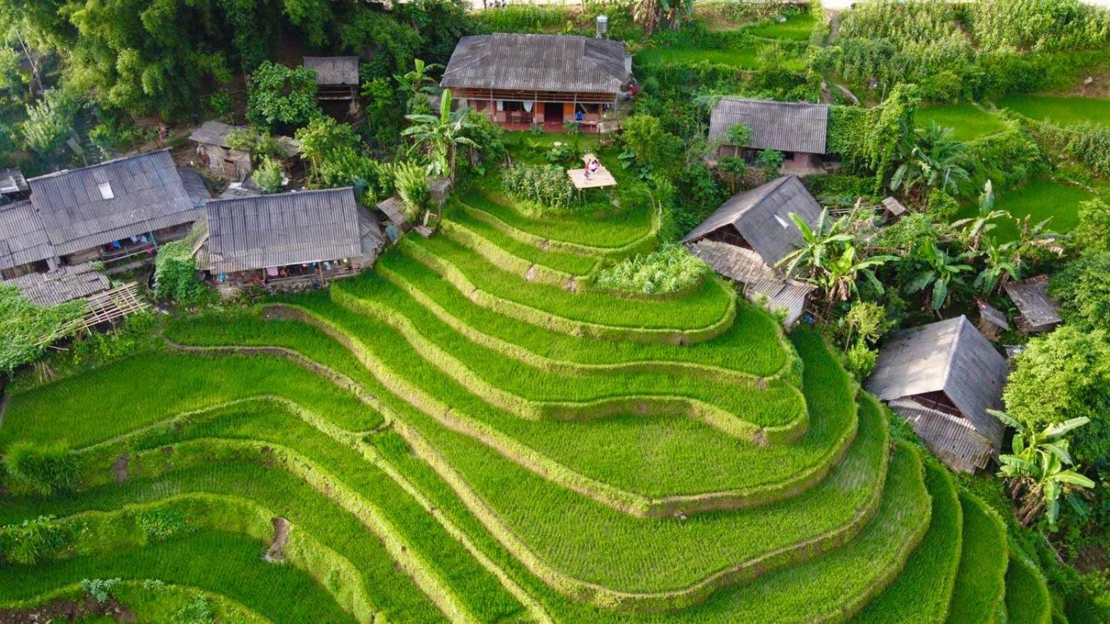 My'S Homestay Sapa Kültér fotó