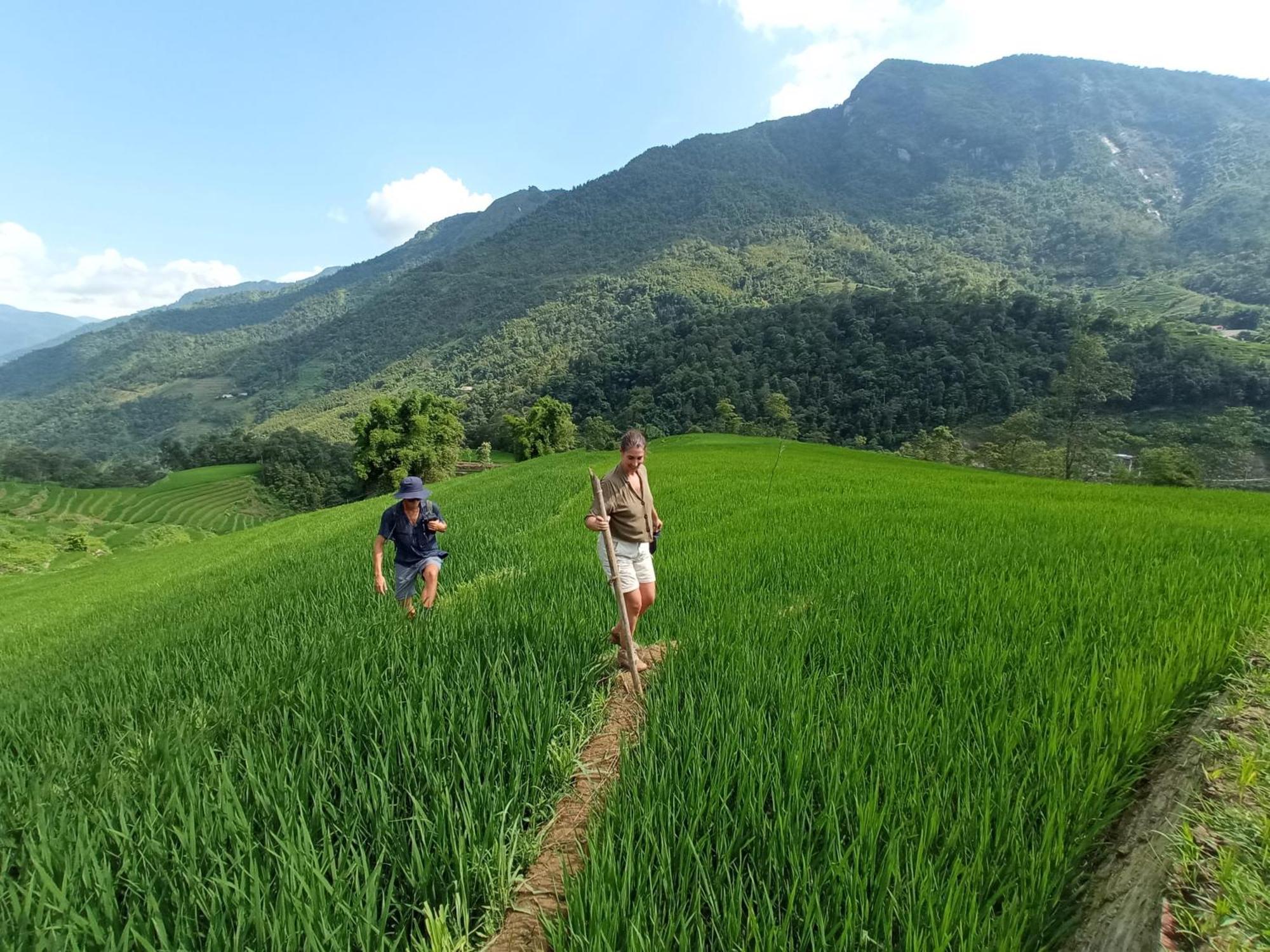 My'S Homestay Sapa Kültér fotó
