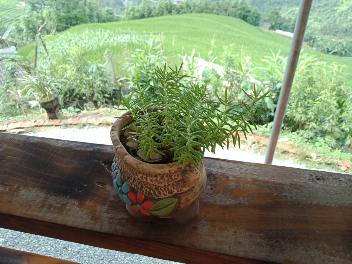 My'S Homestay Sapa Kültér fotó