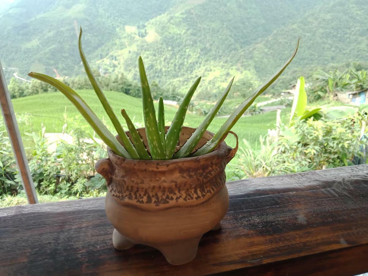 My'S Homestay Sapa Kültér fotó